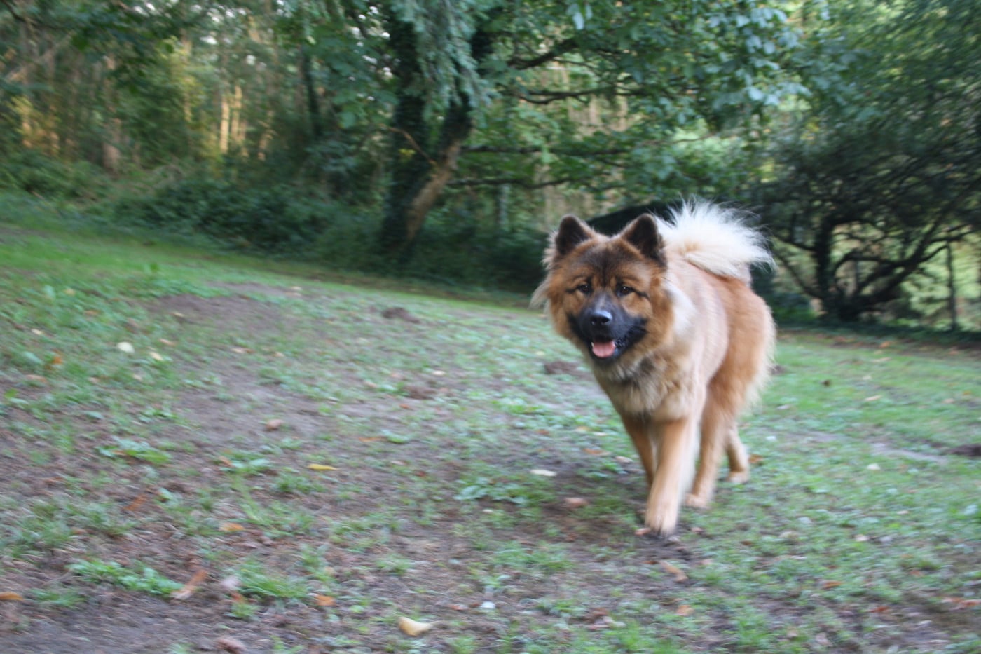 Uska Du Royaume De Freyr