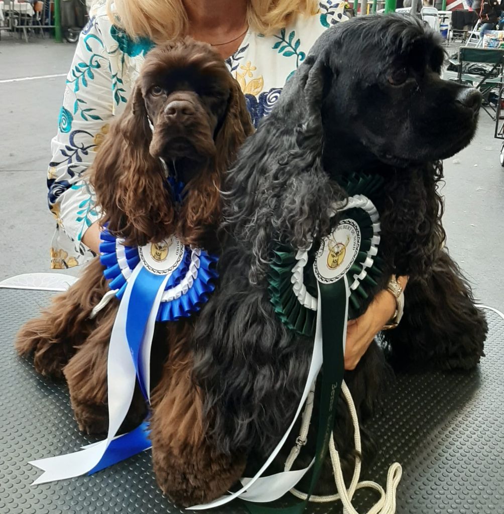 Malibu de l ecrin des précieuses