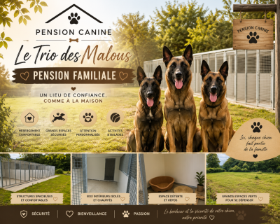 LE TRIO DES MALOUS