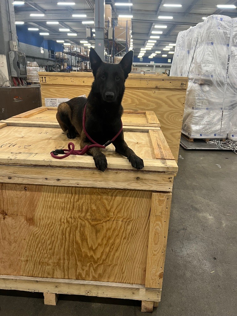 S?croc des terres d’ares