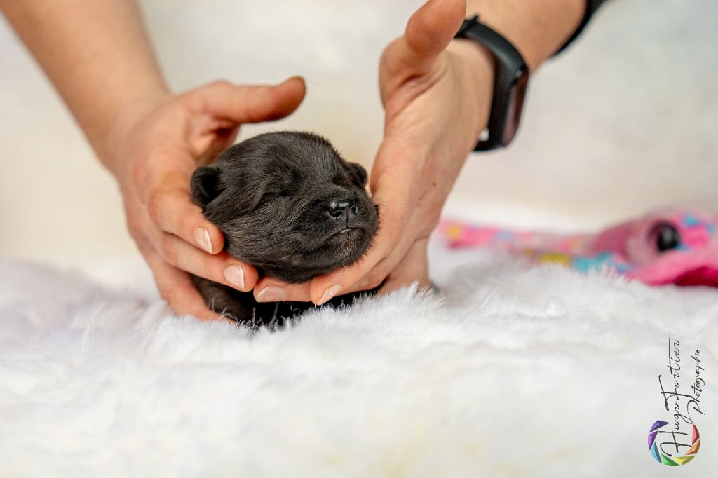 Valka qi'rim Des Délices De Beltaine