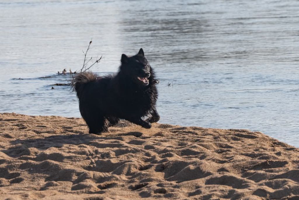 Valka qi'rim Des Délices De Beltaine