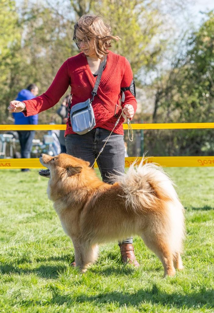 Sinaï Du Domaine Des Hugoux