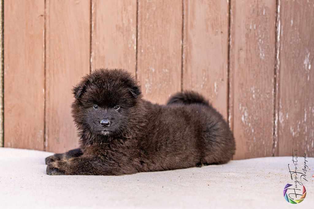 Valka qi'rim Des Délices De Beltaine