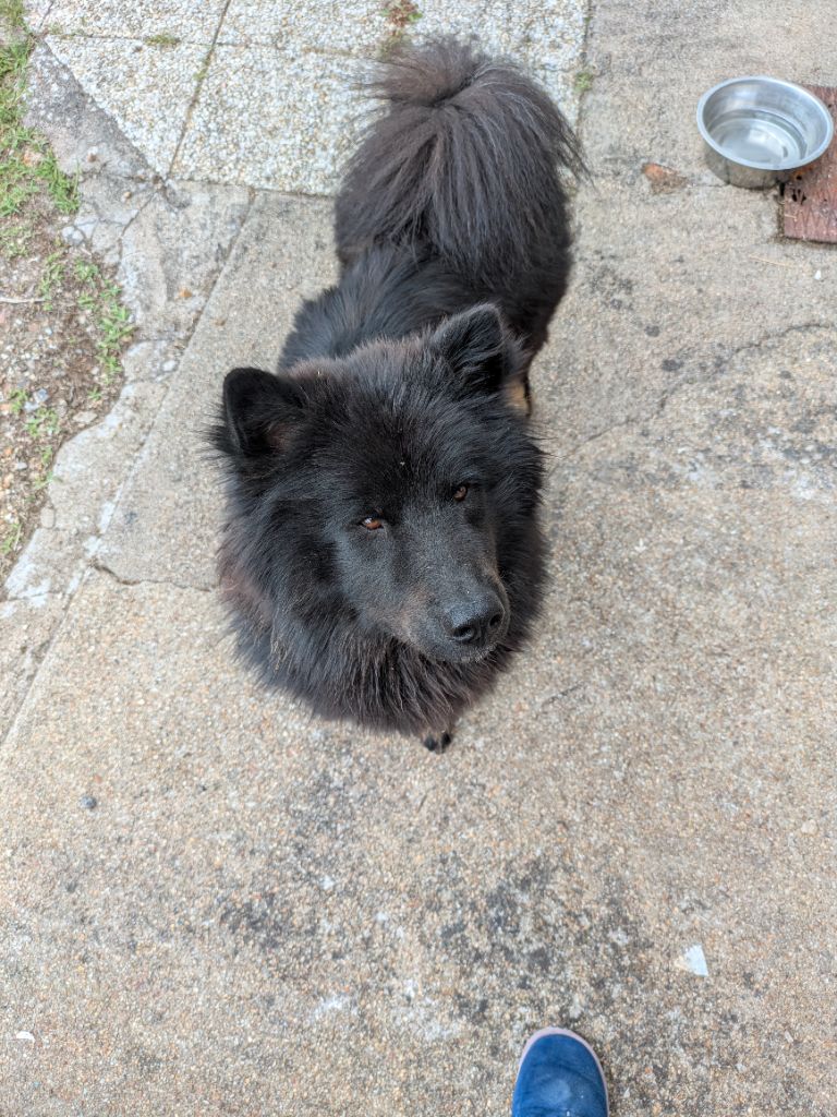 Valka qi'rim Des Délices De Beltaine