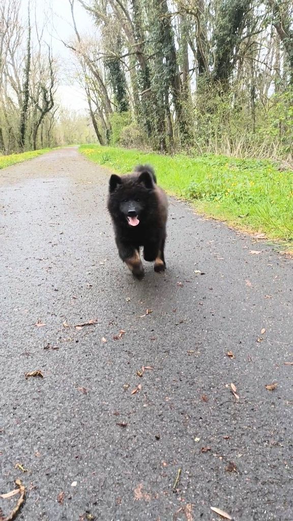 Valka qi'rim Des Délices De Beltaine