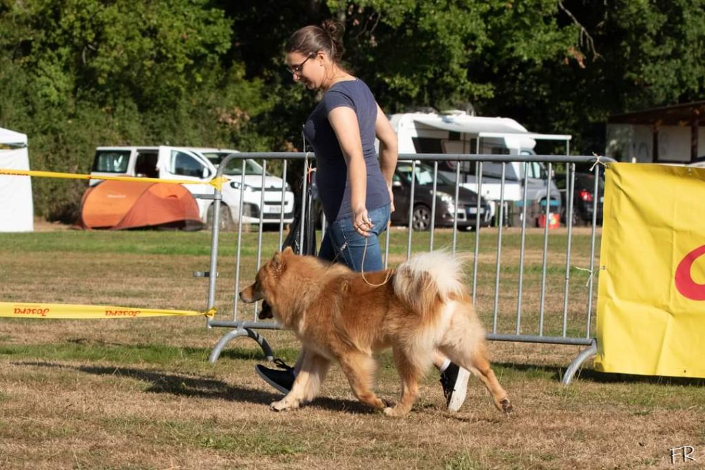 Sinaï Du Domaine Des Hugoux