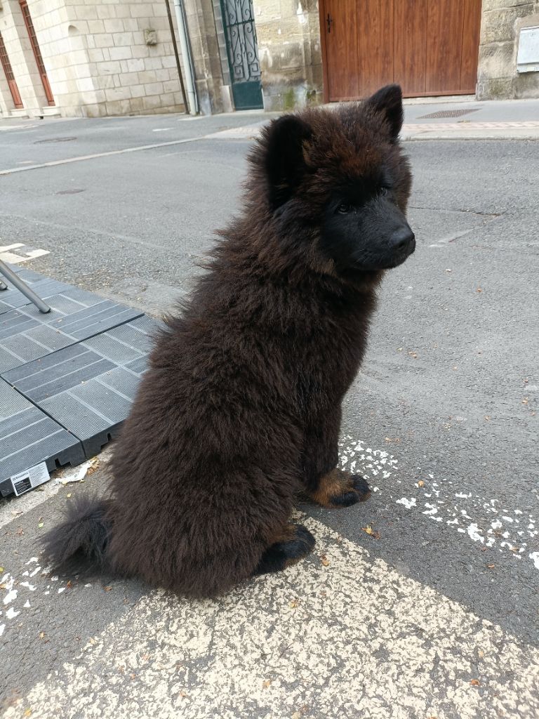 Valka qi'rim Des Délices De Beltaine