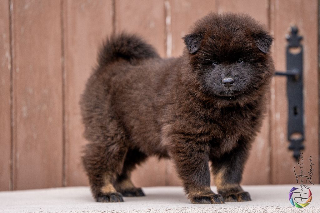 Valka qi'rim Des Délices De Beltaine