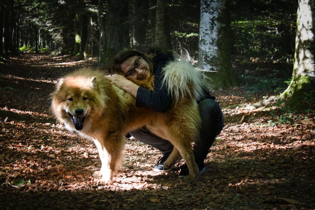 Sinaï Du Domaine Des Hugoux