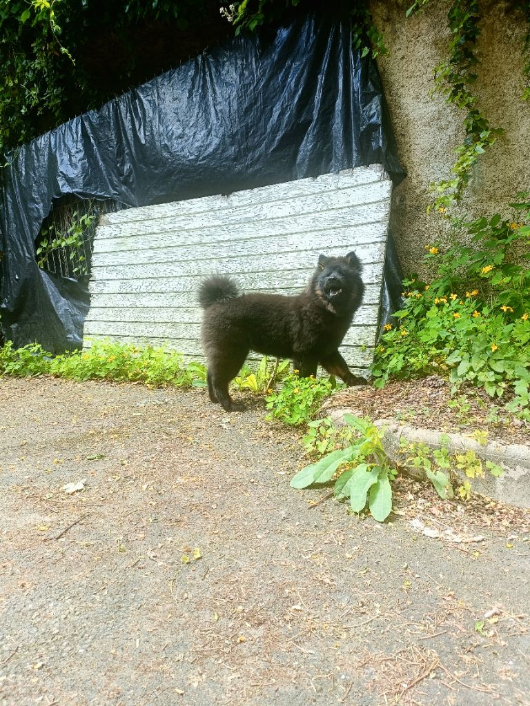 Valka qi'rim Des Délices De Beltaine