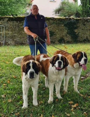 Du domaine de l'evasion