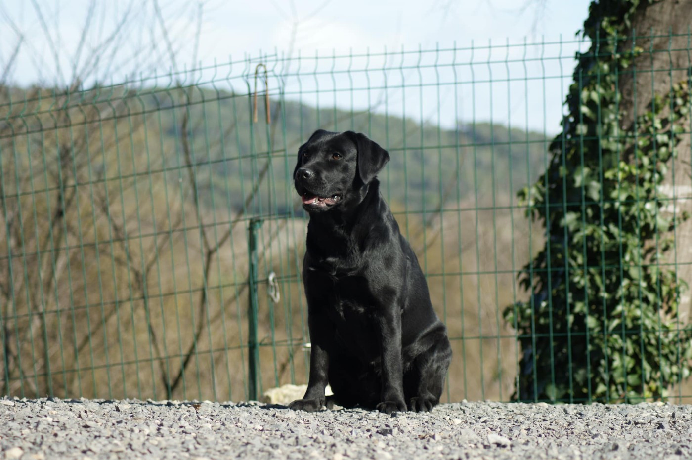 Publication : Du Brin De Vogue