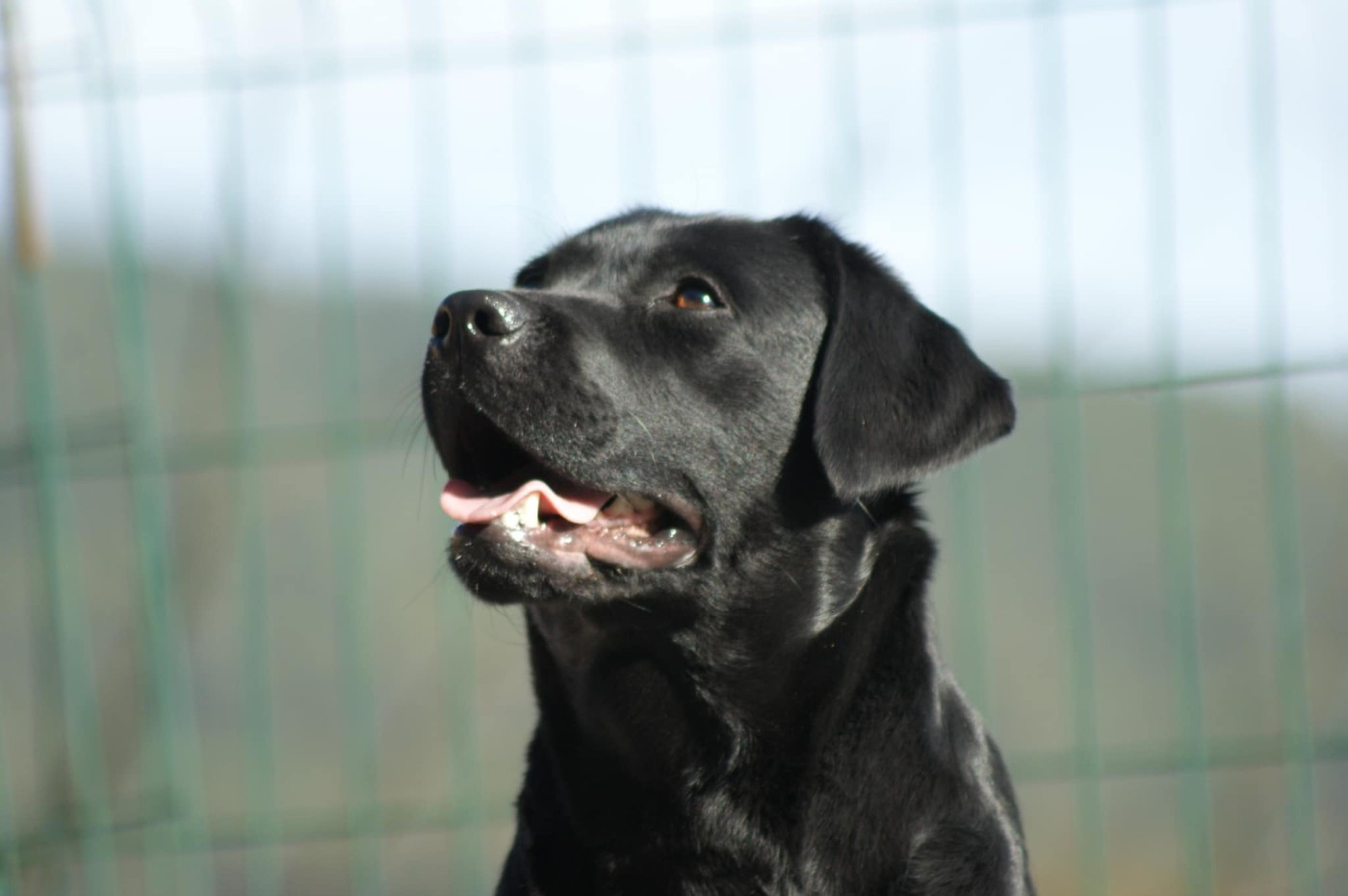 Publication : Du Brin De Vogue