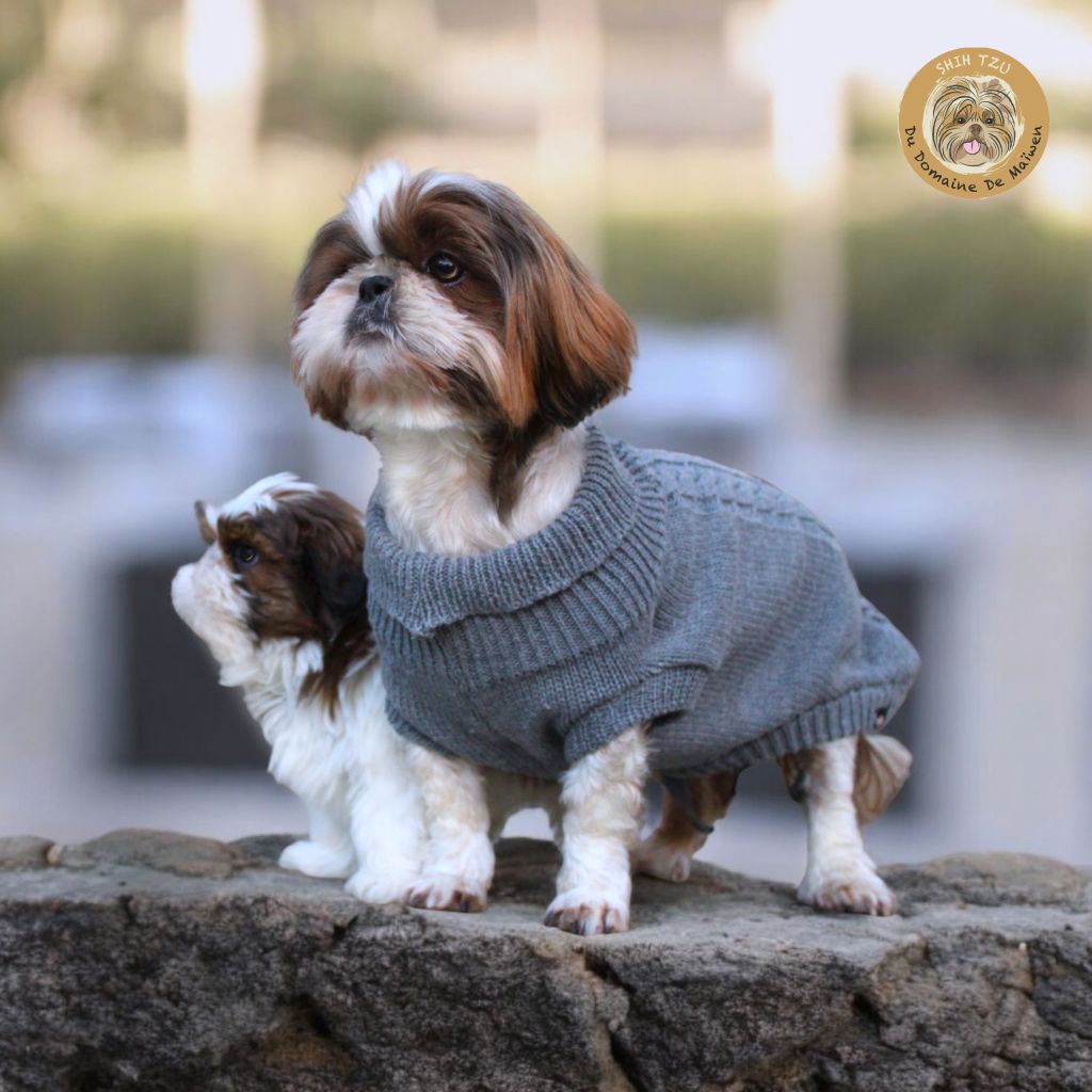 R'joumana Du Coeur Aux Abois