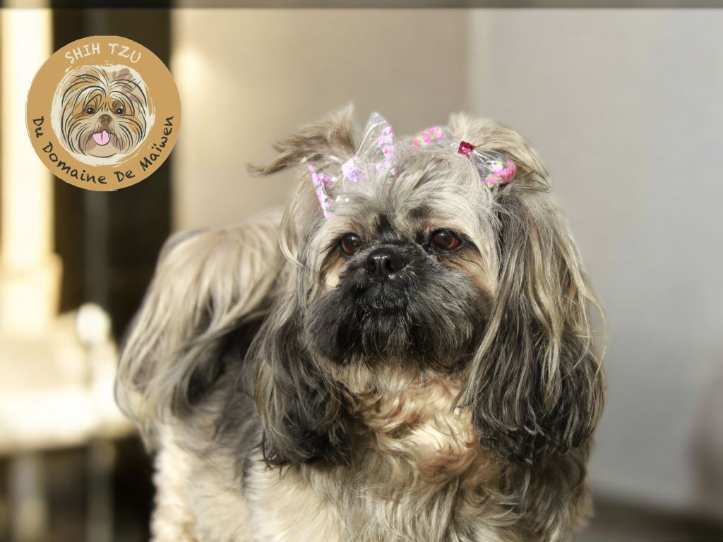 Sherley de la source aux diamants