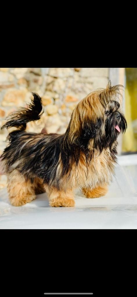 A'chady (Sans Affixe)