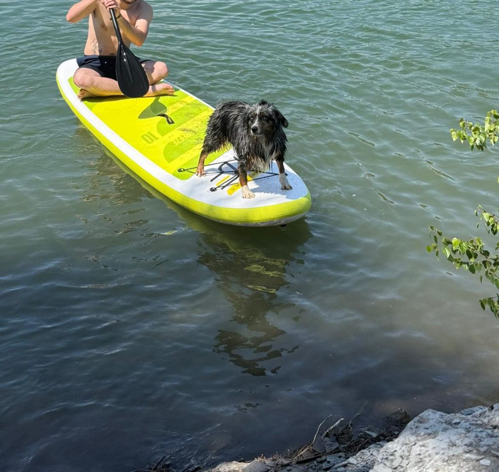 Tenerife island dite tya de L' Australia's Tribu