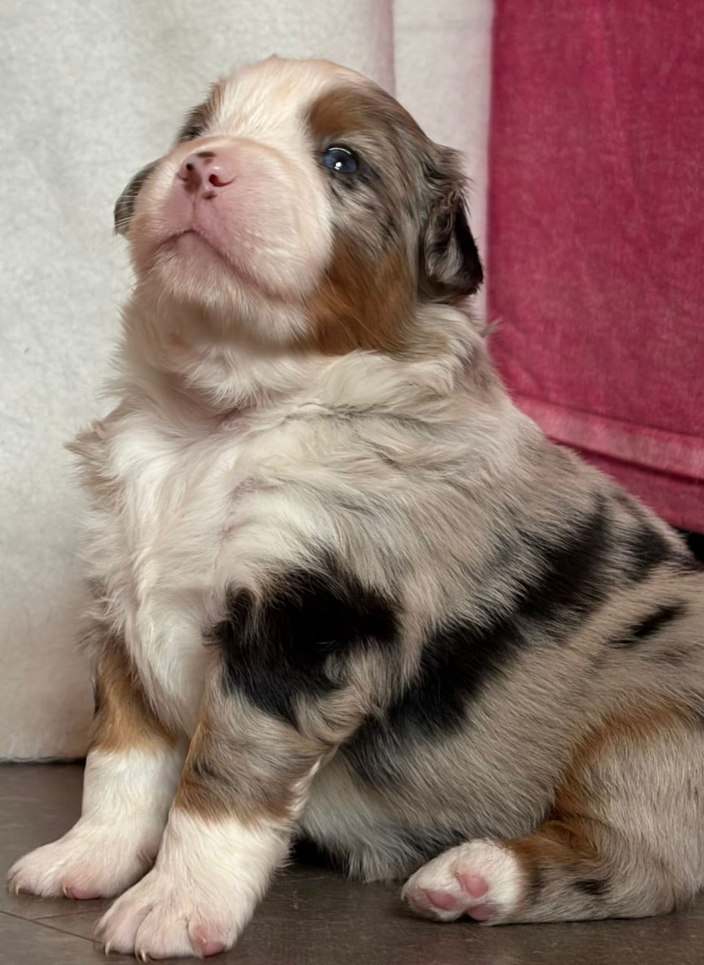 Bingbam Daboom De La Quintessence Du Coeur