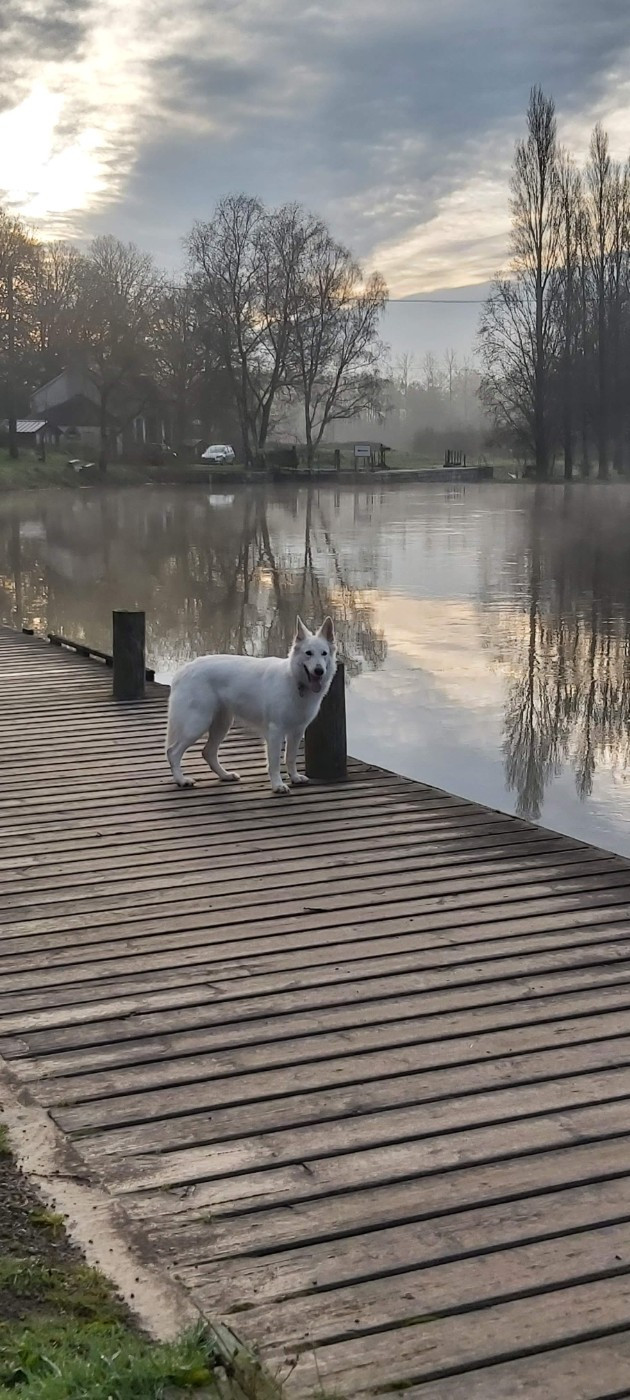 Taïga Des Vents D'Océan