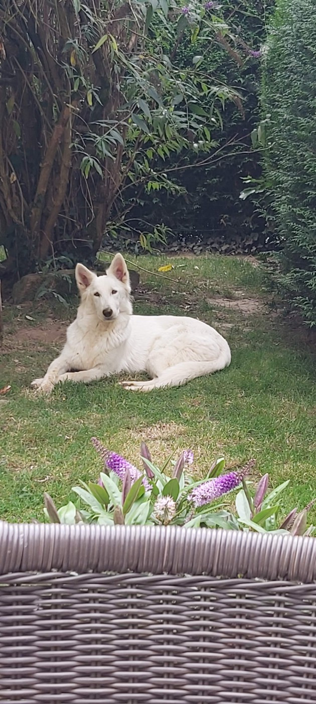 Taïga Des Vents D'Océan