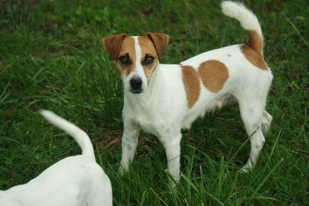 Victoire du creux du nant