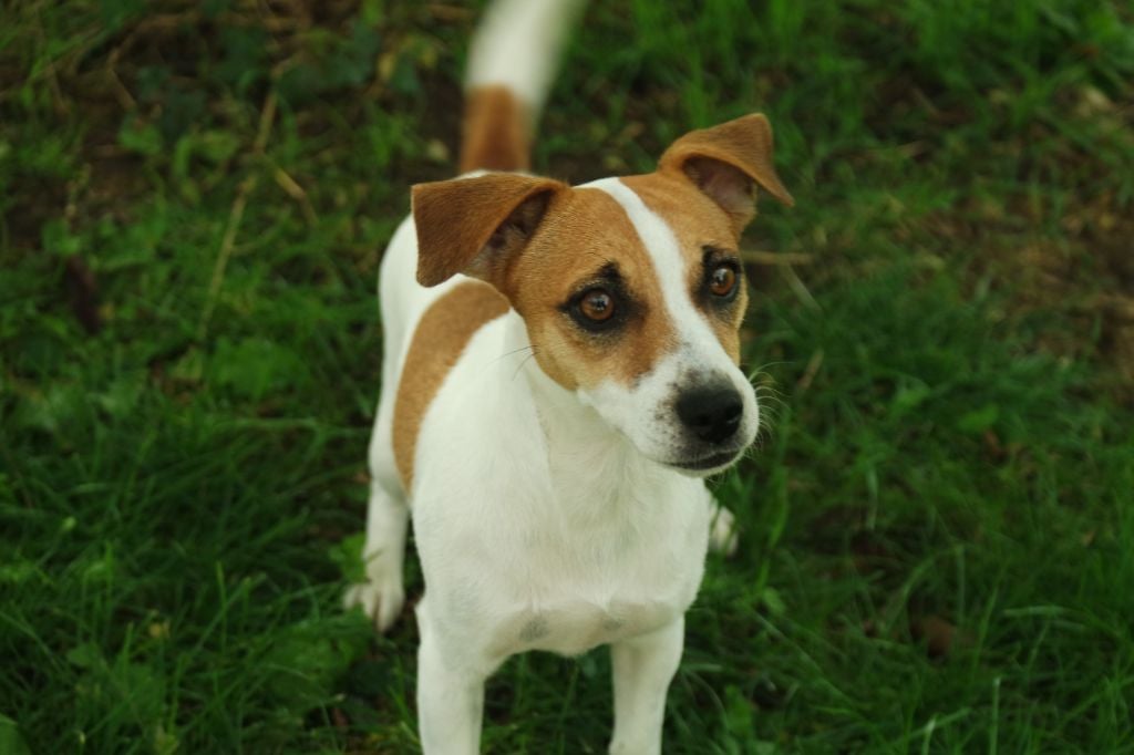 Victoire du creux du nant
