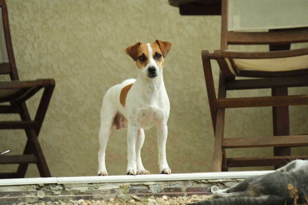 Victoire du creux du nant