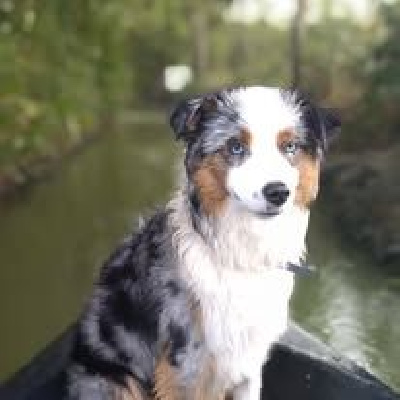 Des Terres De L'ouesteros