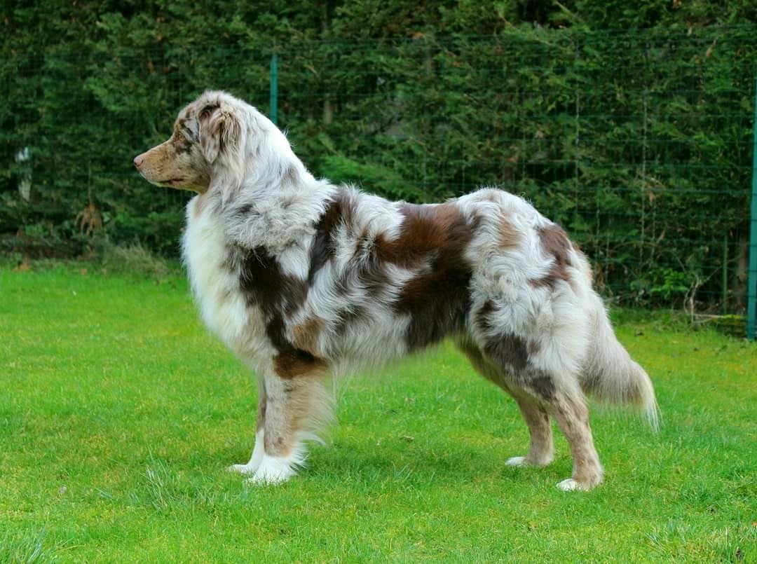 Run forest run Des Nuances D'Automne