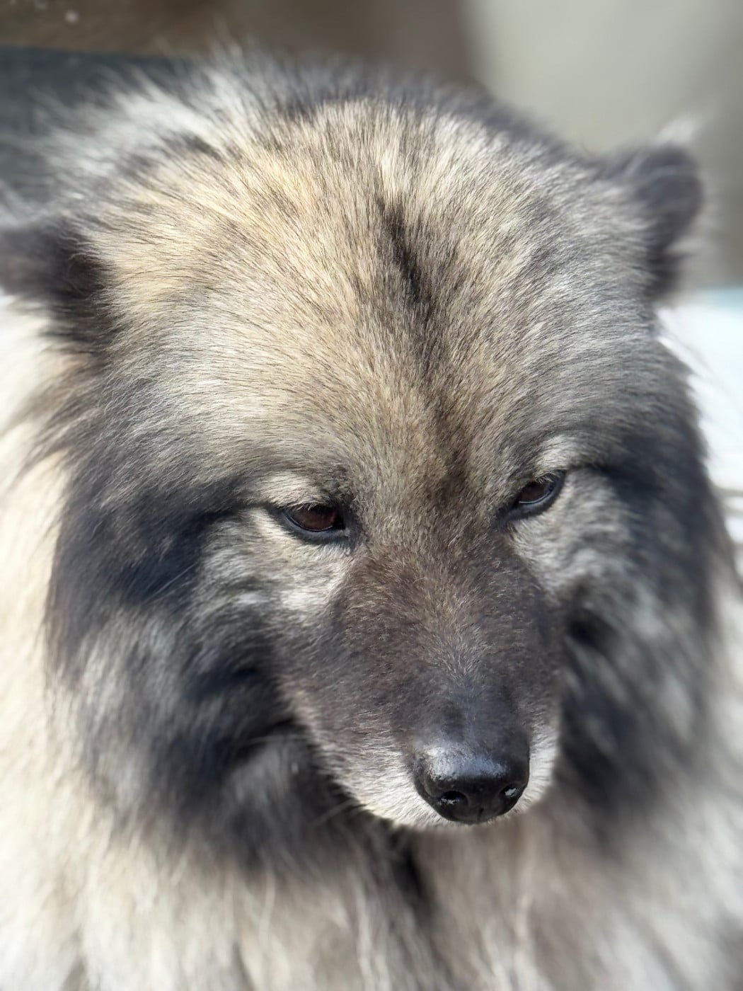 Sunshine de dame nature