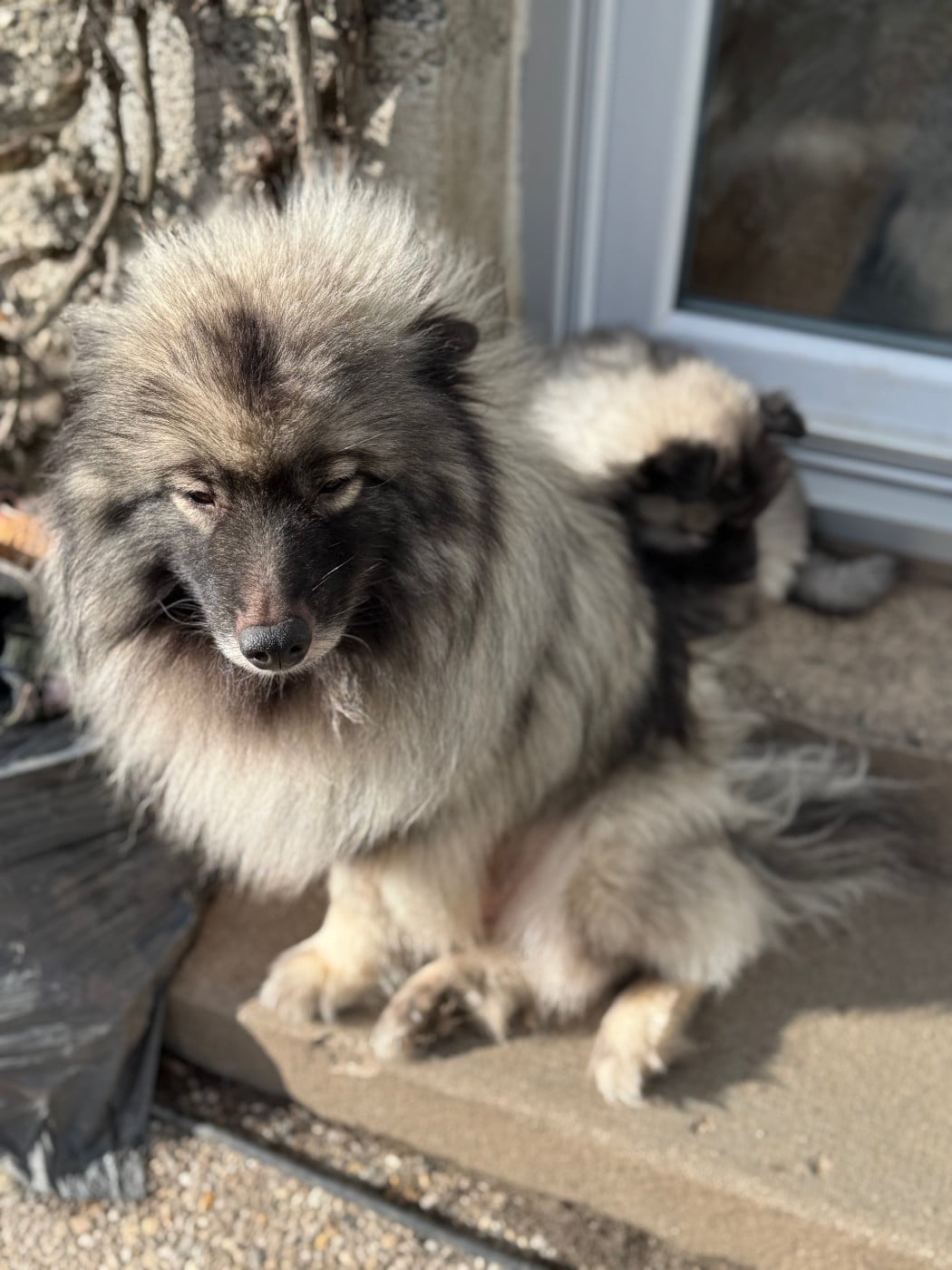 Soshline de dame nature