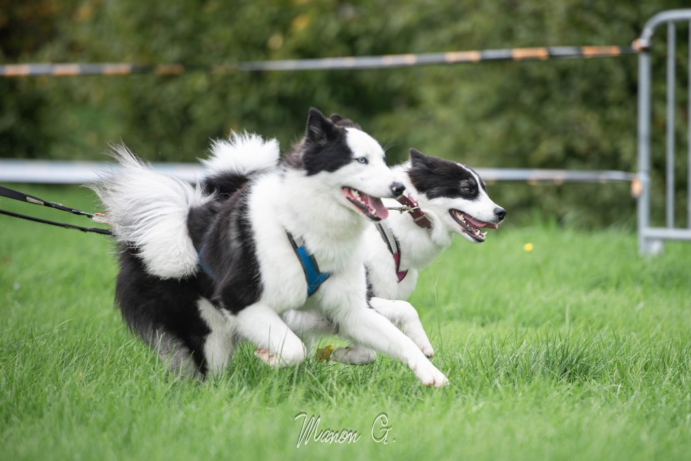 Oukaya forever Viking Valhalla