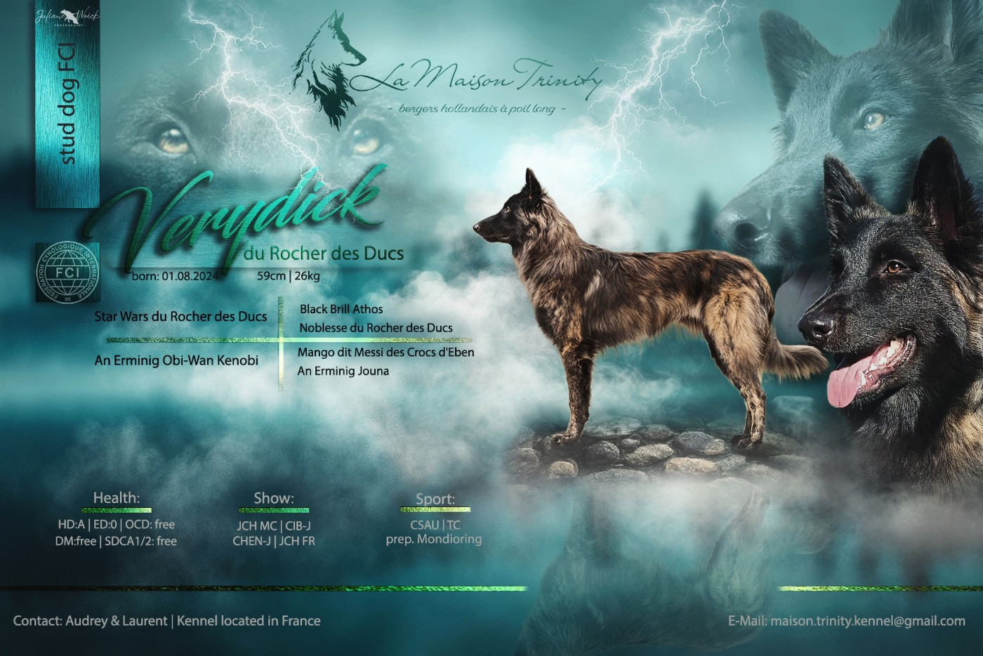 CH. Verydick Du Rocher Des Ducs