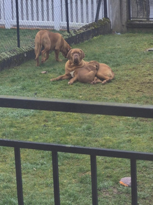 Des compagnons de la belle Etoile
