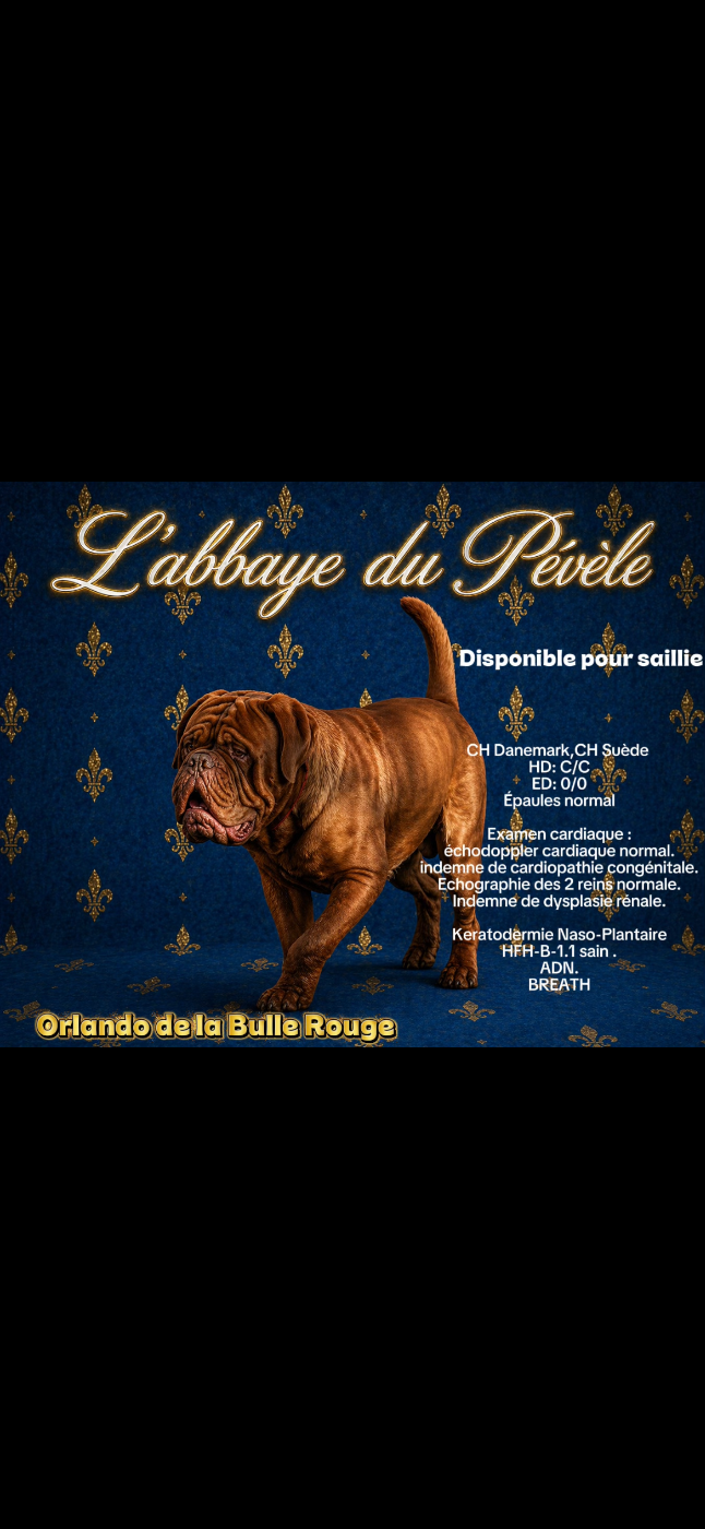 Publication : De L’Abbaye Du Pévèle Auteur : Nicolas