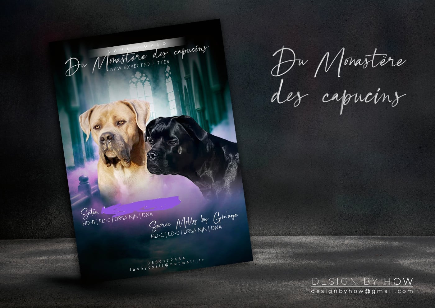 Cane Corso - Du Monastère Des Capucins