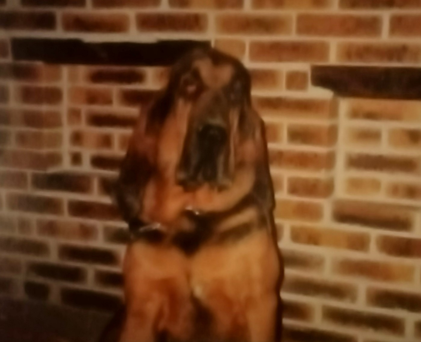 Gaspard (Sans Affixe)