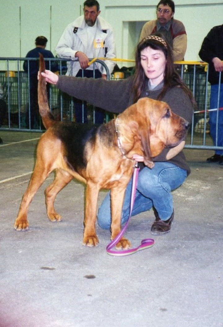 Liselotte De La Voie De Louvreuil