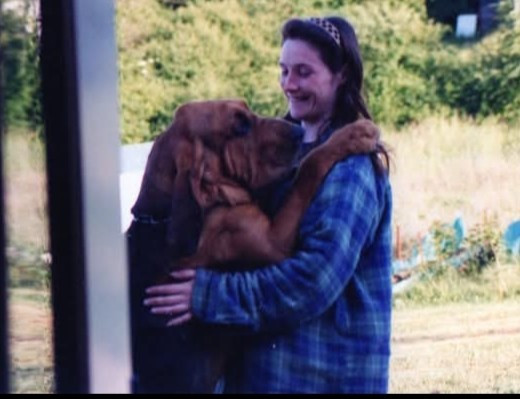 Lafayette De La Voie De Louvreuil