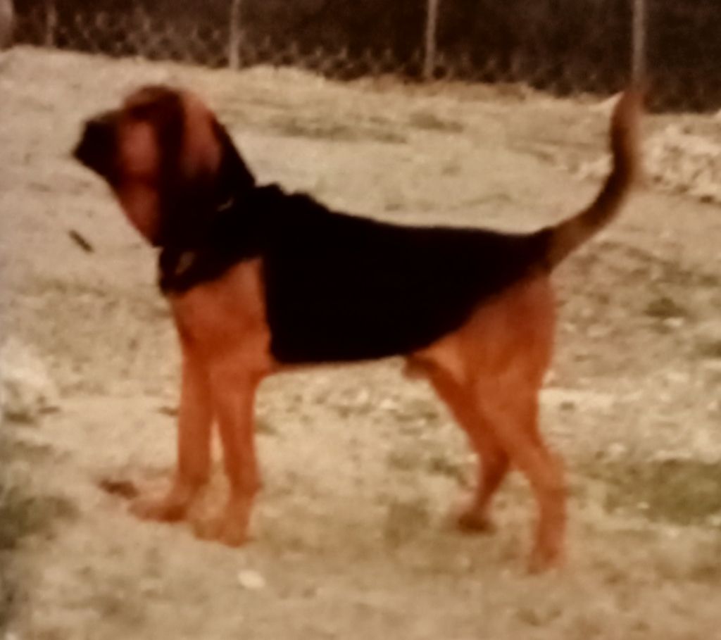 Gaspard (Sans Affixe)