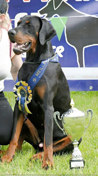 Publication : laura isbled Auteur : Télos Karlos du Parc des Marais