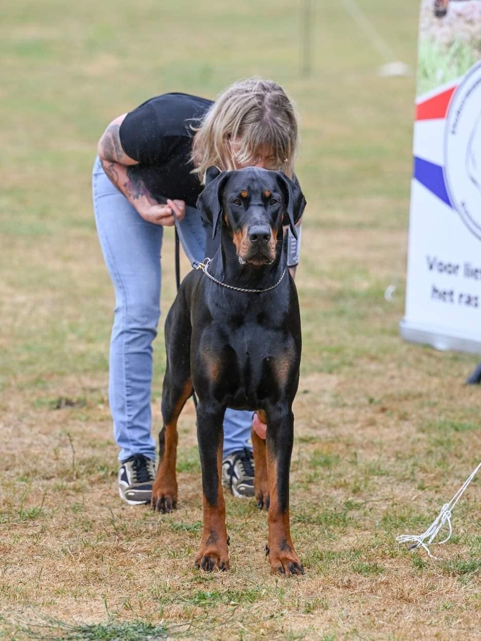 Publication : laura isbled Auteur : Télos Karlos du Parc des Marais