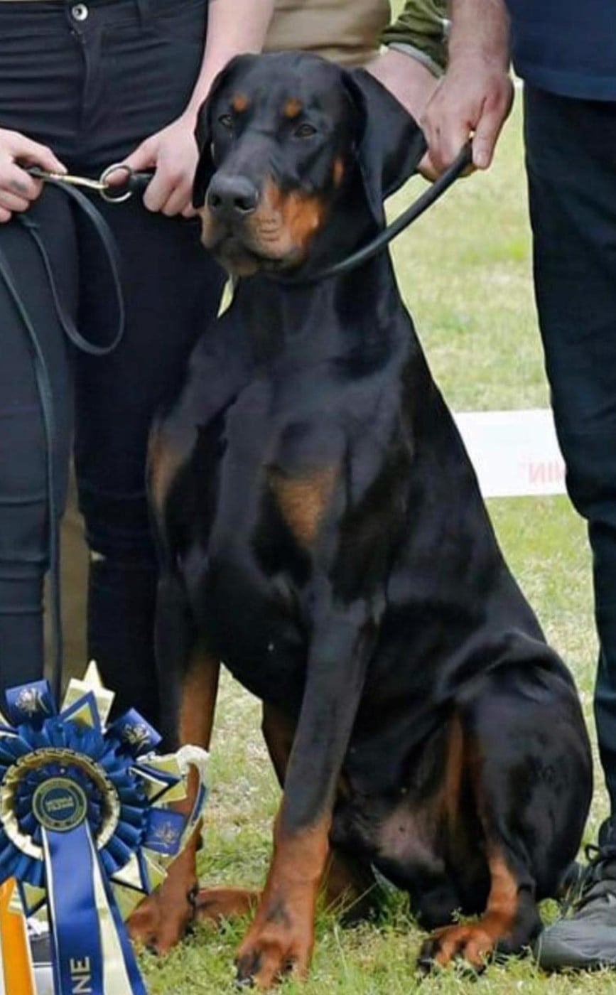 Publication : laura isbled Auteur : Télos Karlos du Parc des Marais