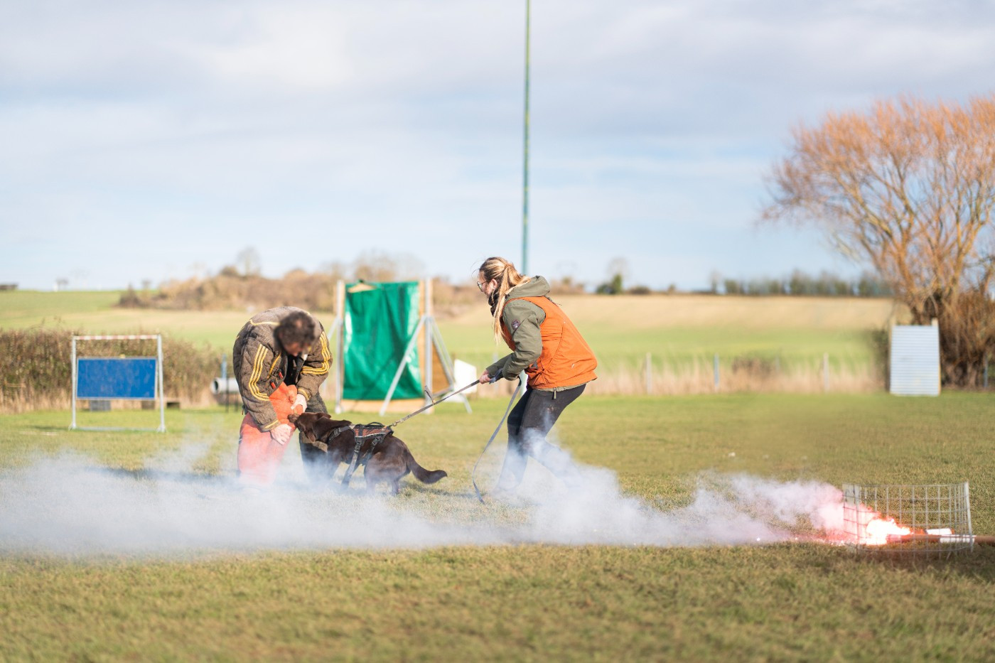 CH. U'byyou Des Bergers De La Croix