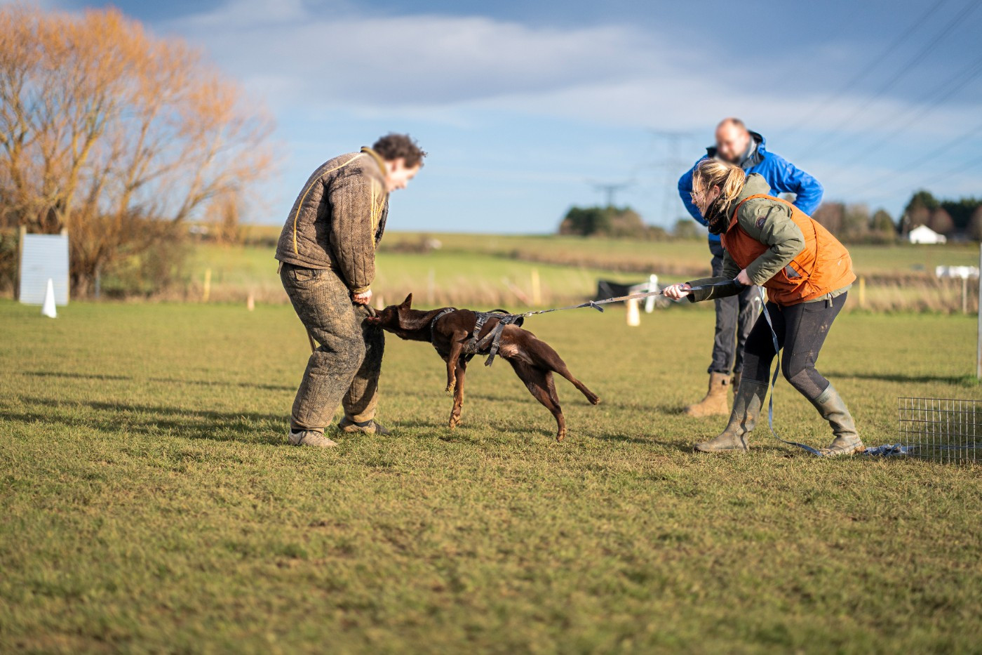 CH. U'byyou Des Bergers De La Croix