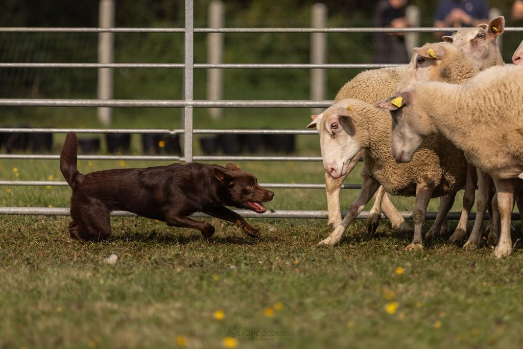 U'byyou Des Bergers De La Croix