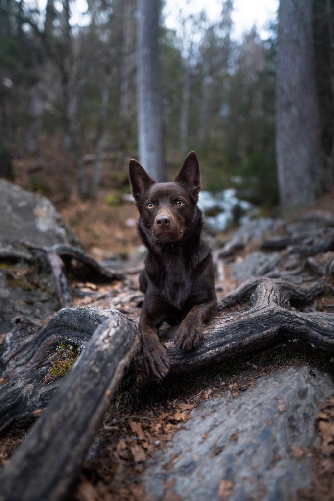 U'byyou Des Bergers De La Croix