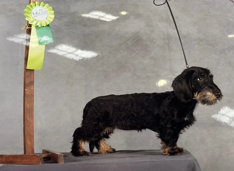 Vadrouille De la plaine aux lièvres