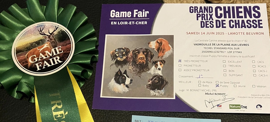 Vadrouille De la plaine aux lièvres